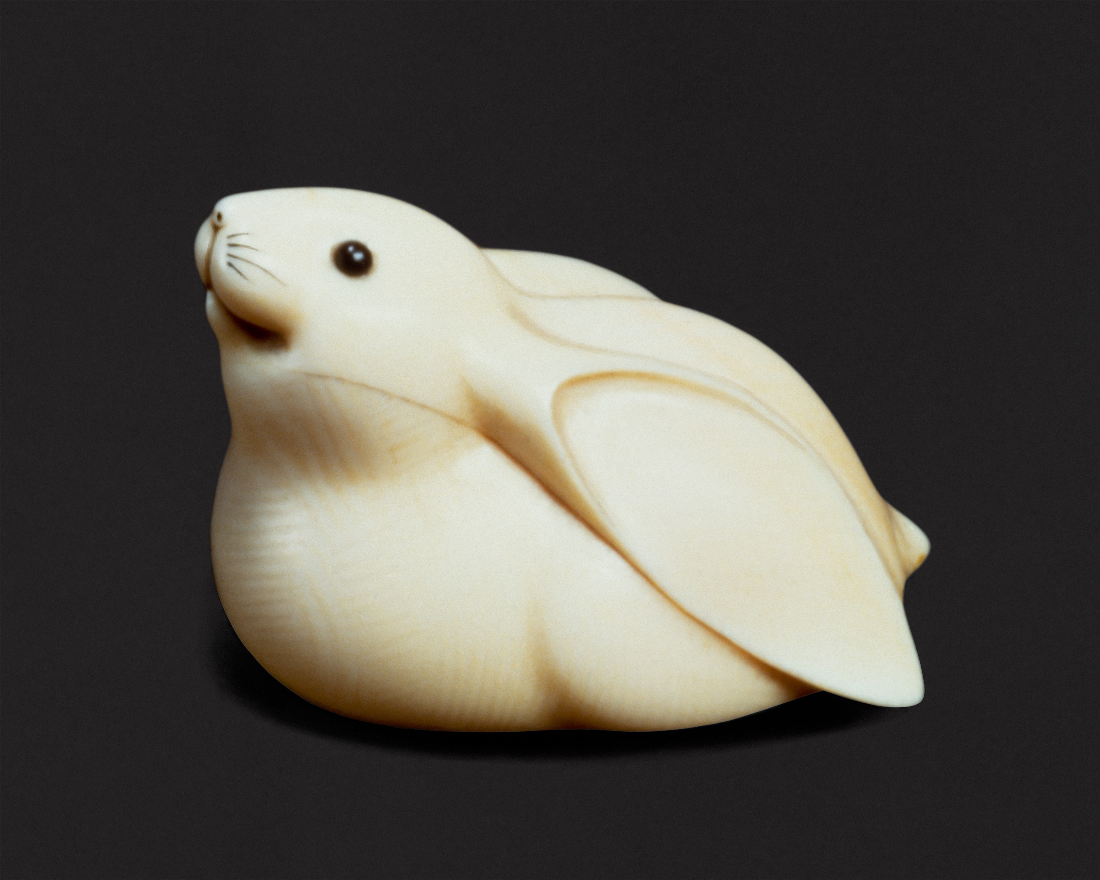 Rabbit, Mitsuhiro Ōhara